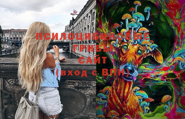 дмт Вязьма